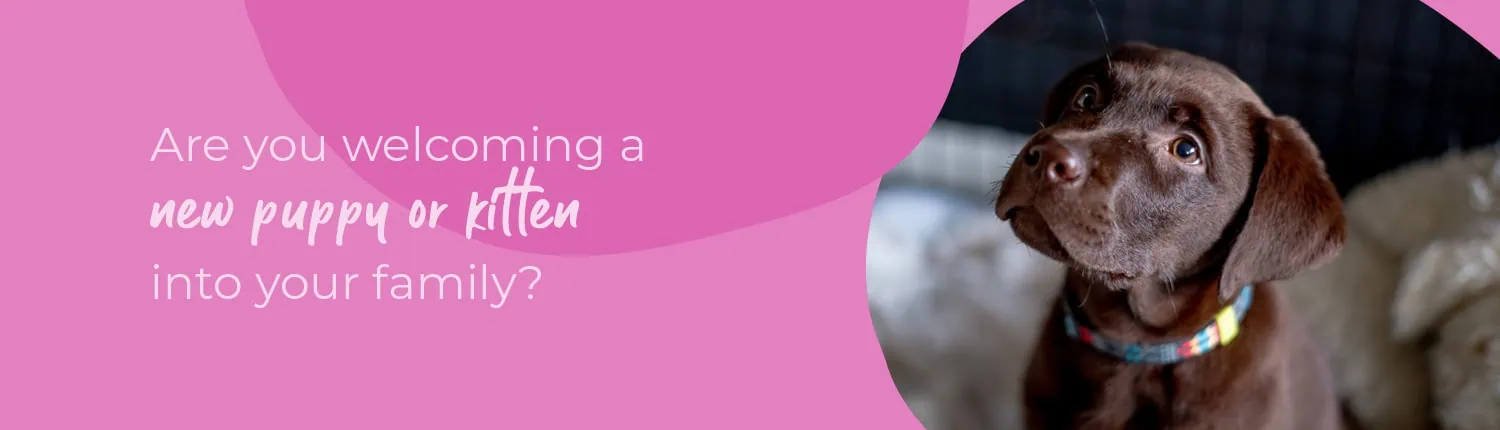 Welcoming your new puppy or kitten