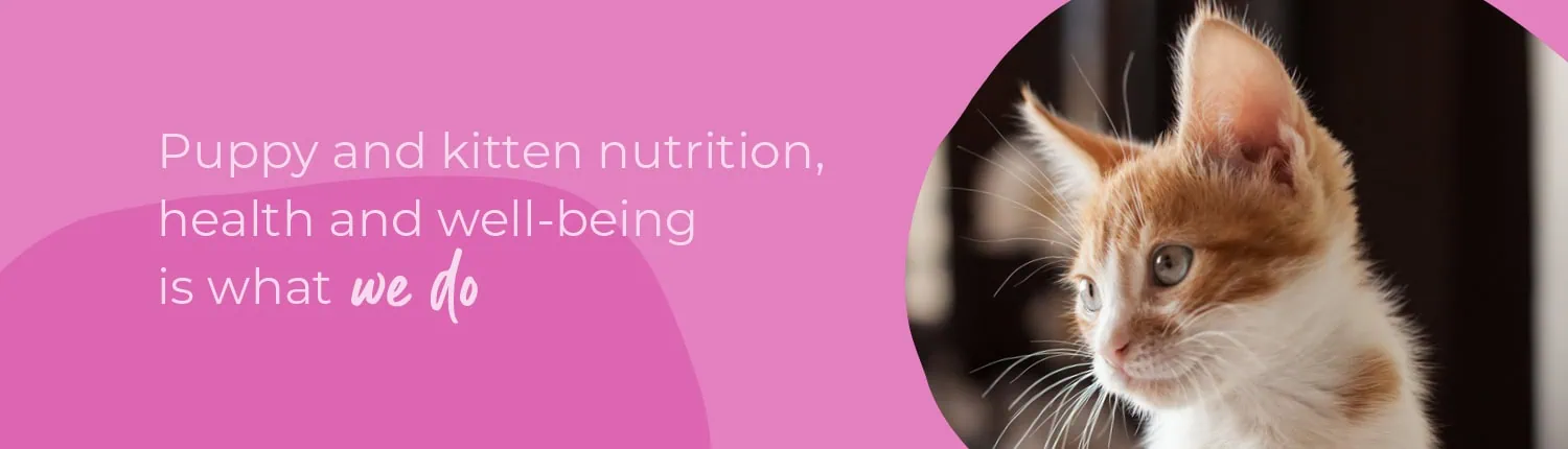 Welcoming your new puppy or kitten