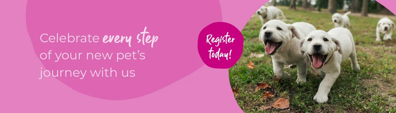 Welcoming your new puppy or kitten