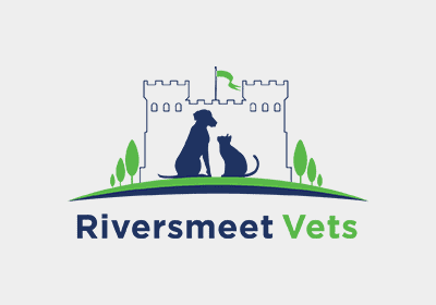 Common Breed Health Overviews