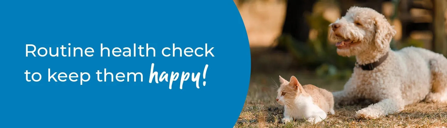 Pet Health Check in Tamworth & Atherstone | Preventative Vet Care