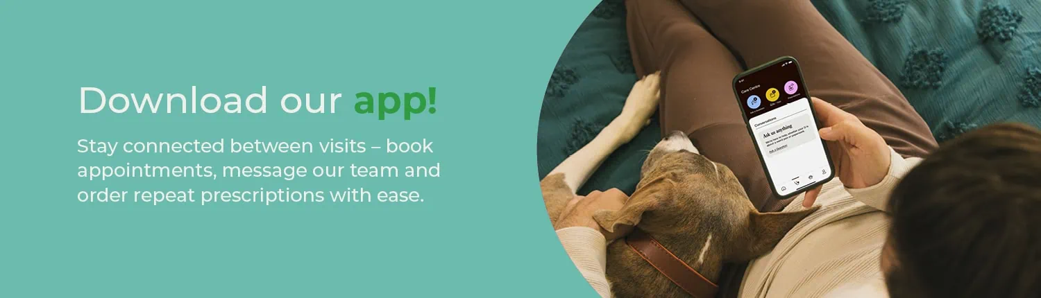 Have you downloaded our app yet?