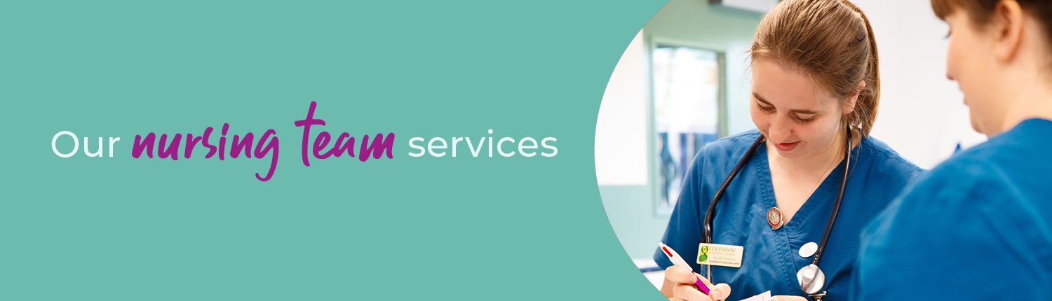 Veterinary Nurse Clinics