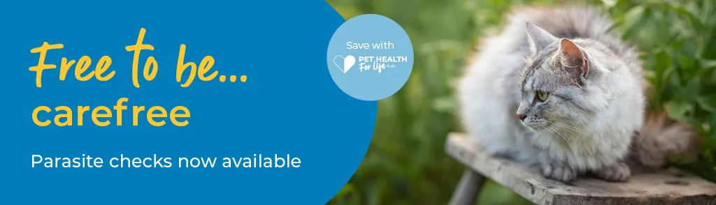 Parasite Prevention & Protection in Tamworth and Atherstone