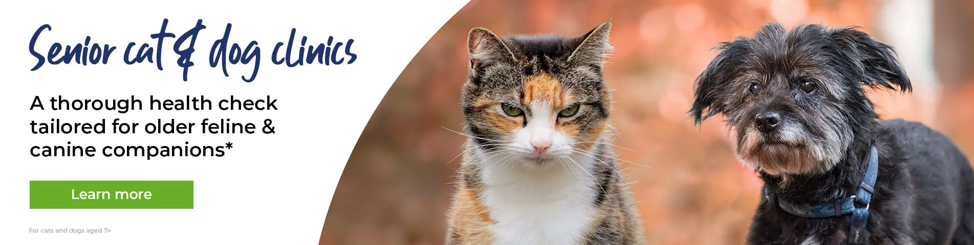 Leading Vets in Tamworth and Atherstone