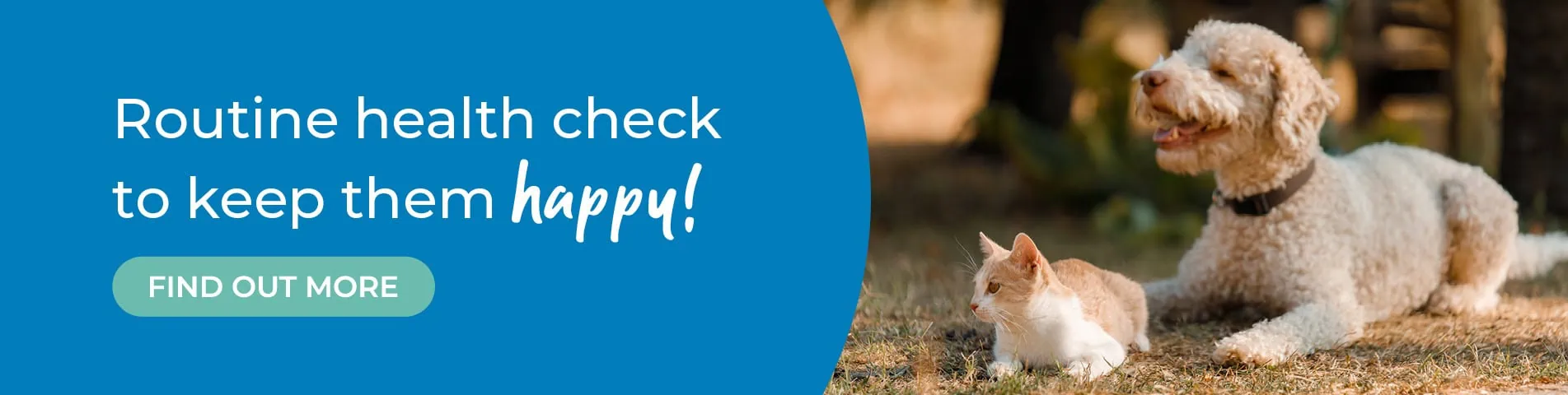 Leading Vets in Tamworth and Atherstone