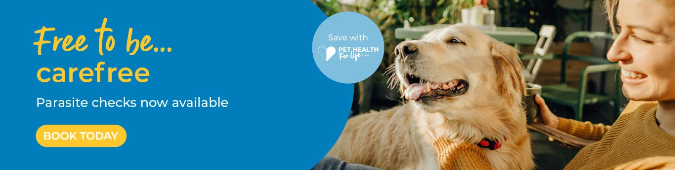 Leading Vets in Tamworth and Atherstone