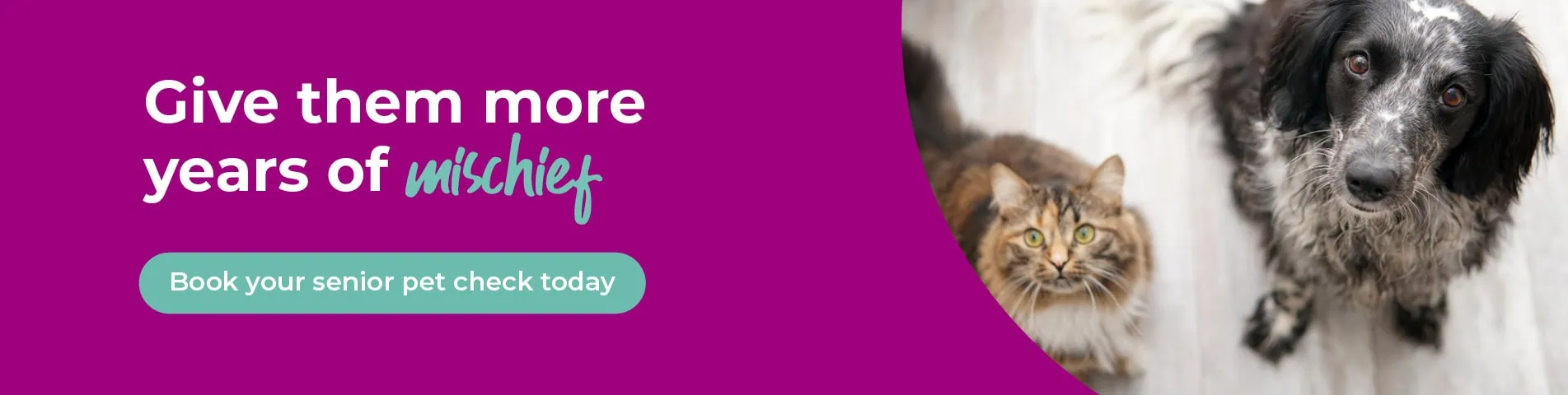 Leading Vets in Tamworth and Atherstone